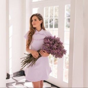 Gal Meets Glam Emma Dress in Lilac Size 8 New with Tags